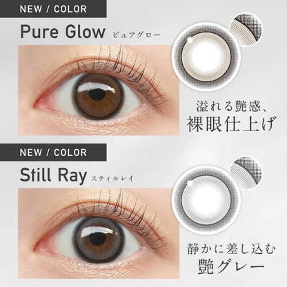 【預購】Revia Still Ray 1 Day 十片裝