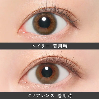 【預購】Revia Hailey 1 Day 十片裝