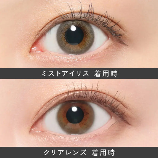 【預購】Revia Mist Iris 1 Day 十片裝