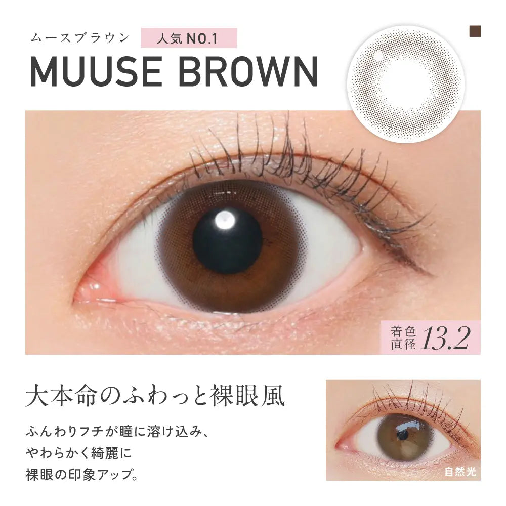 【預購】Revia Circle Muuse Brown 1 Day 十片裝