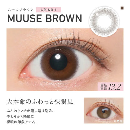 【預購】Revia Circle Muuse Brown 1 Day 十片裝