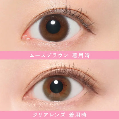 【預購】Revia Circle Muuse Brown 1 Day 十片裝