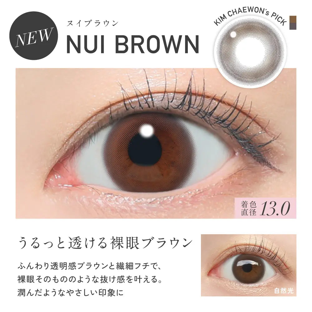 【預購】Revia Circle Nui Brown 1 Day 十片裝