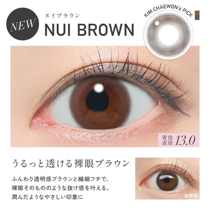 【預購】Revia Circle Nui Brown 1 Day 十片裝