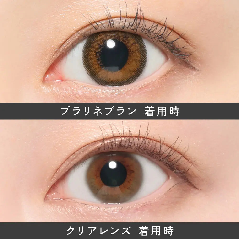 【預購】Revia Praline Bran 1 Day 十片裝