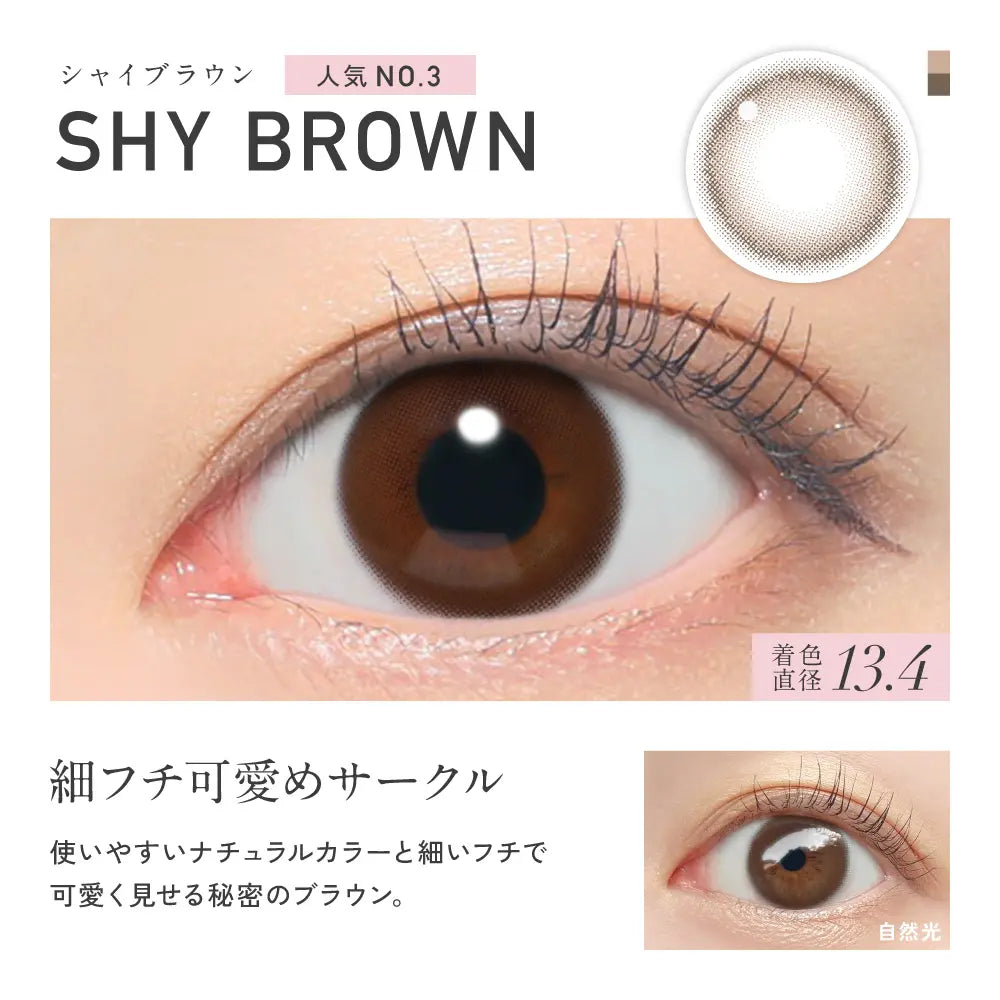 【預購】Revia Circle Shy Brown 1 Day 十片裝