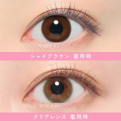 【預購】Revia Circle Shy Brown 1 Day 十片裝