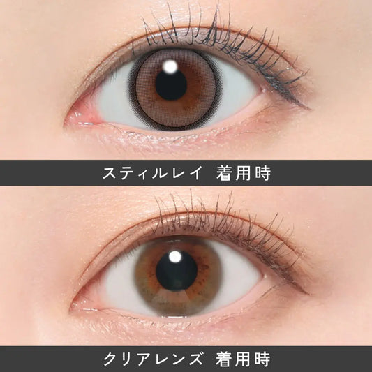 【預購】Revia Still Ray 1 Day 十片裝