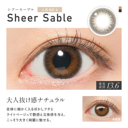 【預購】Revia Sheer Sable 1 Day 十片裝