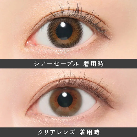 【預購】Revia Sheer Sable 1 Day 十片裝