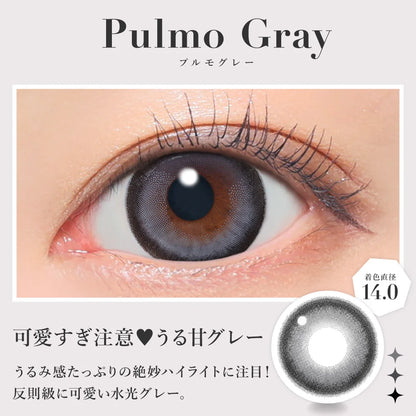 【預購】【固定高光】SECRET CANDY MAGIC Pulmo Gray 1 Day 二十片裝
