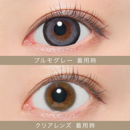 【預購】【固定高光】SECRET CANDY MAGIC Pulmo Gray 1 Day 二十片裝