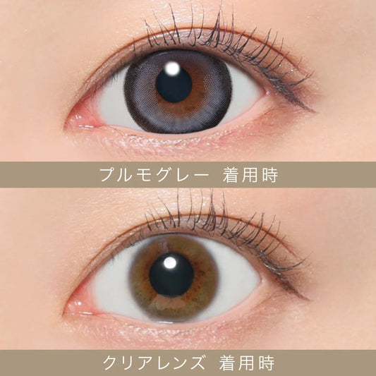 【預購】【固定高光】SECRET CANDY MAGIC Pulmo Gray 1 Day 二十片裝