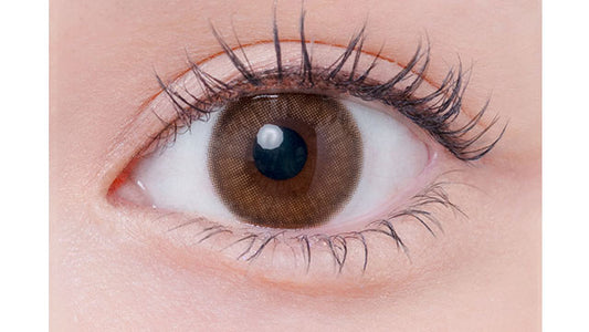【預購】Eyelist Love Brown 1 Day 十片裝