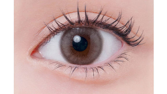 【預購】Eyelist Nude Grege 1 Day 十片裝