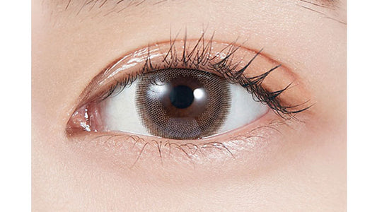 【預購】MOLAK Dark Peony 1 Day 十片裝