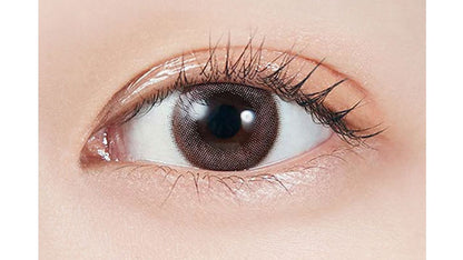 【預購】MOLAK Sakura Petal 1 Day 十片裝