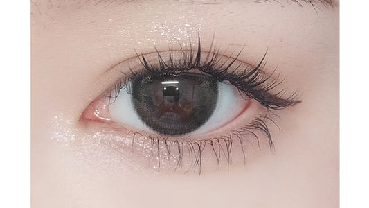 【預購】FOMOMY Magic Series Magic Brown 1 Day 十片裝