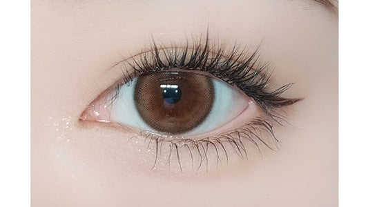 【預購】FOMOMY Magic Series Magic Almond 1 Day 十片裝