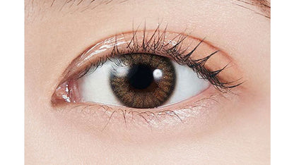 【預購】MOLAK Coral Brown 1 Day 十片裝