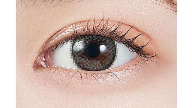 【預購】MOLAK Dazzle Gray 1 Day 十片裝