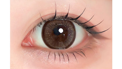 【預購】Refrear X A-eye Kira Mocha Beige 1 Day 十片裝