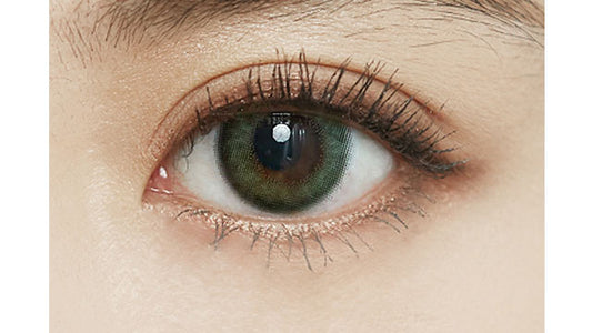 【預購】FOMOMY Iris Series Forest Olive 1 Day 十片裝