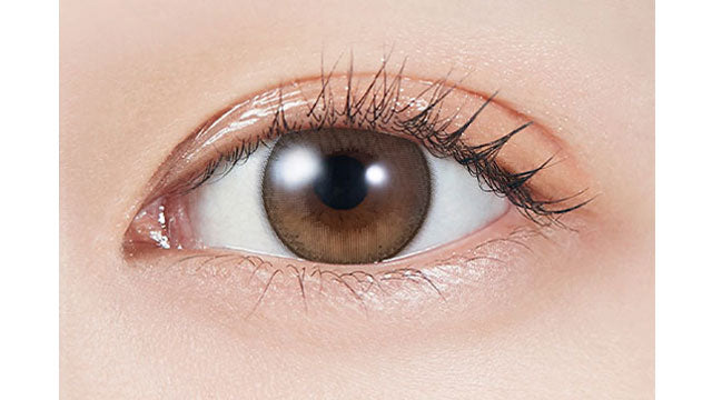 【預購】MOLAK Dollish Brown 1 Day 十片裝