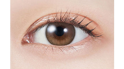 【預購】MOLAK Dollish Brown 1 Day 十片裝