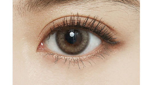 【預購】FOMOMY Iris Series Mix Gray 1 Day 十片裝