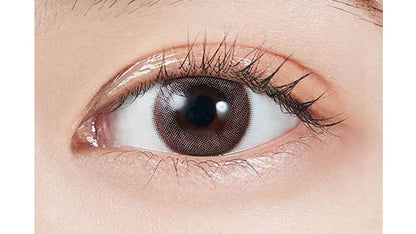 【預購】MOLAK Sakura Petal 1-Month 兩片裝