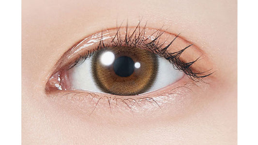 【預購】MOLAK Twinkle Brown 1 Day 十片裝