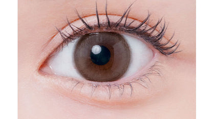 【預購】Eyelist Numaochi Ring 1 Day 十片裝