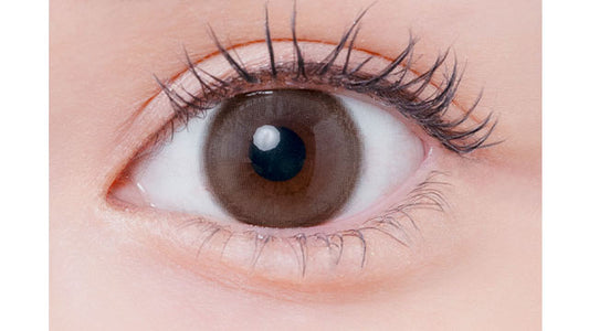 【預購】Eyelist Numaochi Ring 1 Day 十片裝
