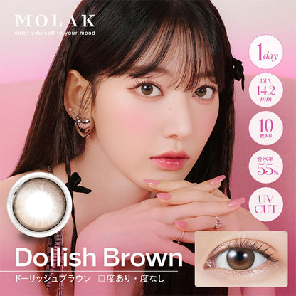 【預購】MOLAK Dollish Brown 1 Day 十片裝