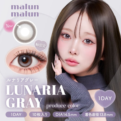 【預購】【固定高光】Malun Malun Lunaria Gray 1 Day 十片裝