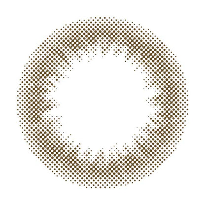 【預購】MOLAK Tint Brown 1 Day 十片裝