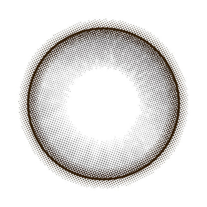 【預購】MOLAK Dollish Gray 1 Day 十片裝