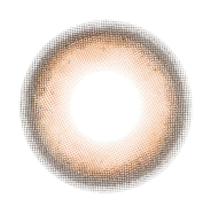 【預購】FOMOMY Magic Series Magic Almond 1 Day 十片裝