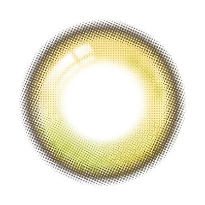 【預購】【固定高光】Refrear Unrolla Lunan Olive 1 Day 十片裝