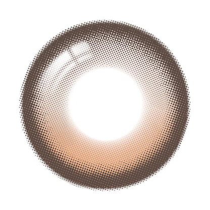 【預購】【固定高光】Refrear Unrolla Lunan Brown 1 Day 十片裝