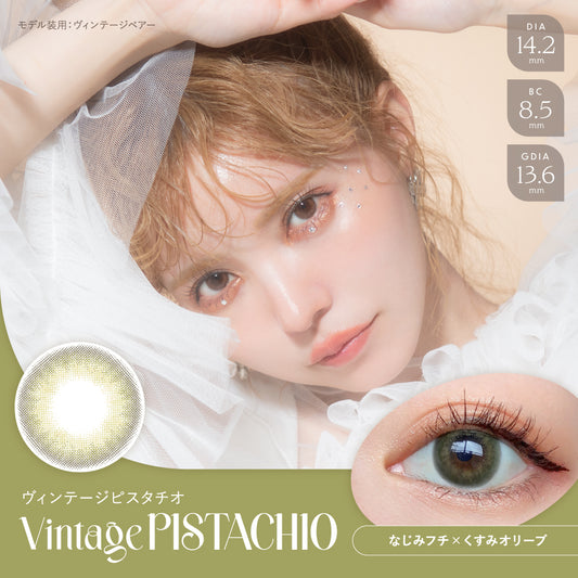 【預購】Angelcolor BAMBI SERIES Vintage Pistachio 1 Day 十片裝