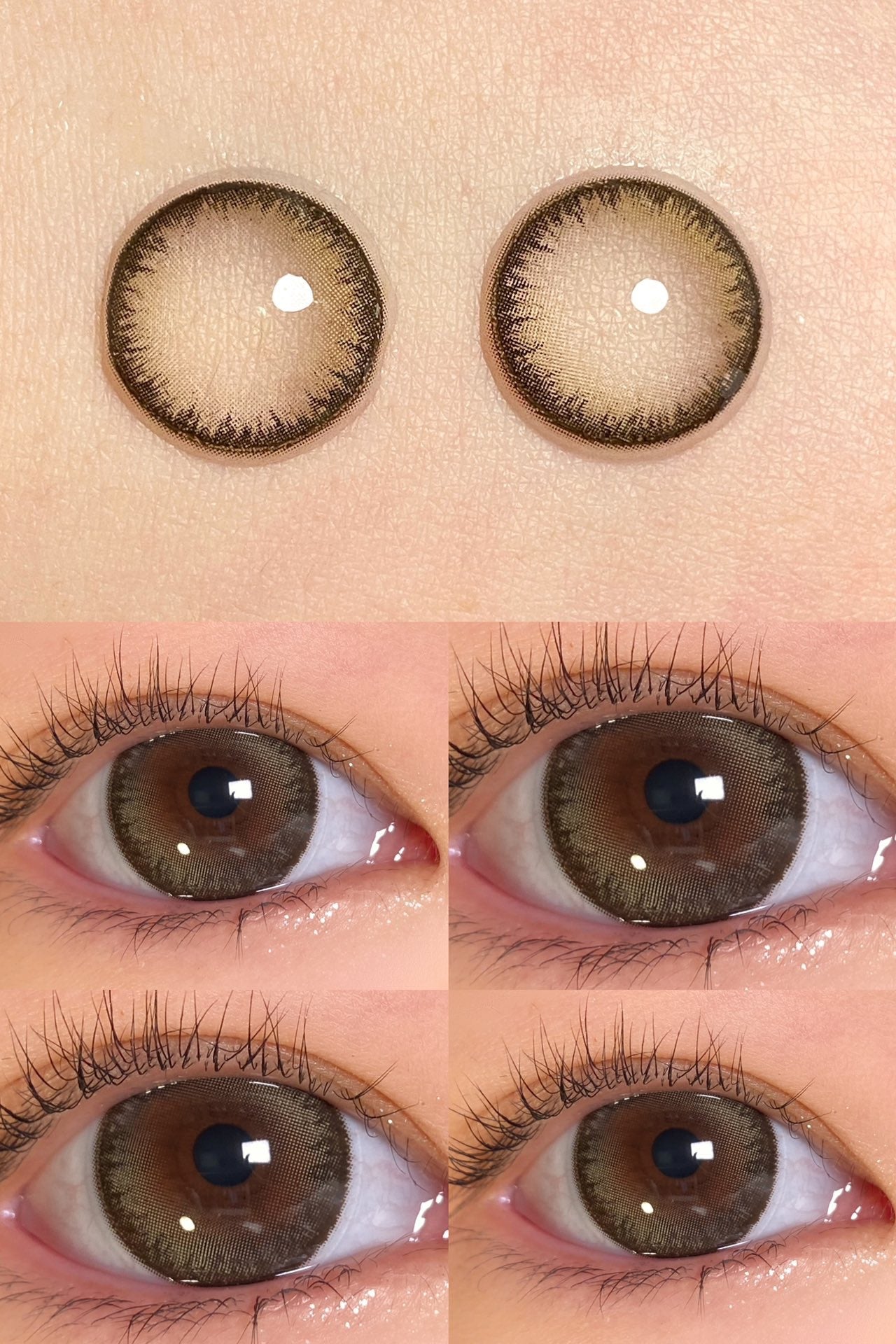 GumihoCon Y01 Brown 奶油泡泡