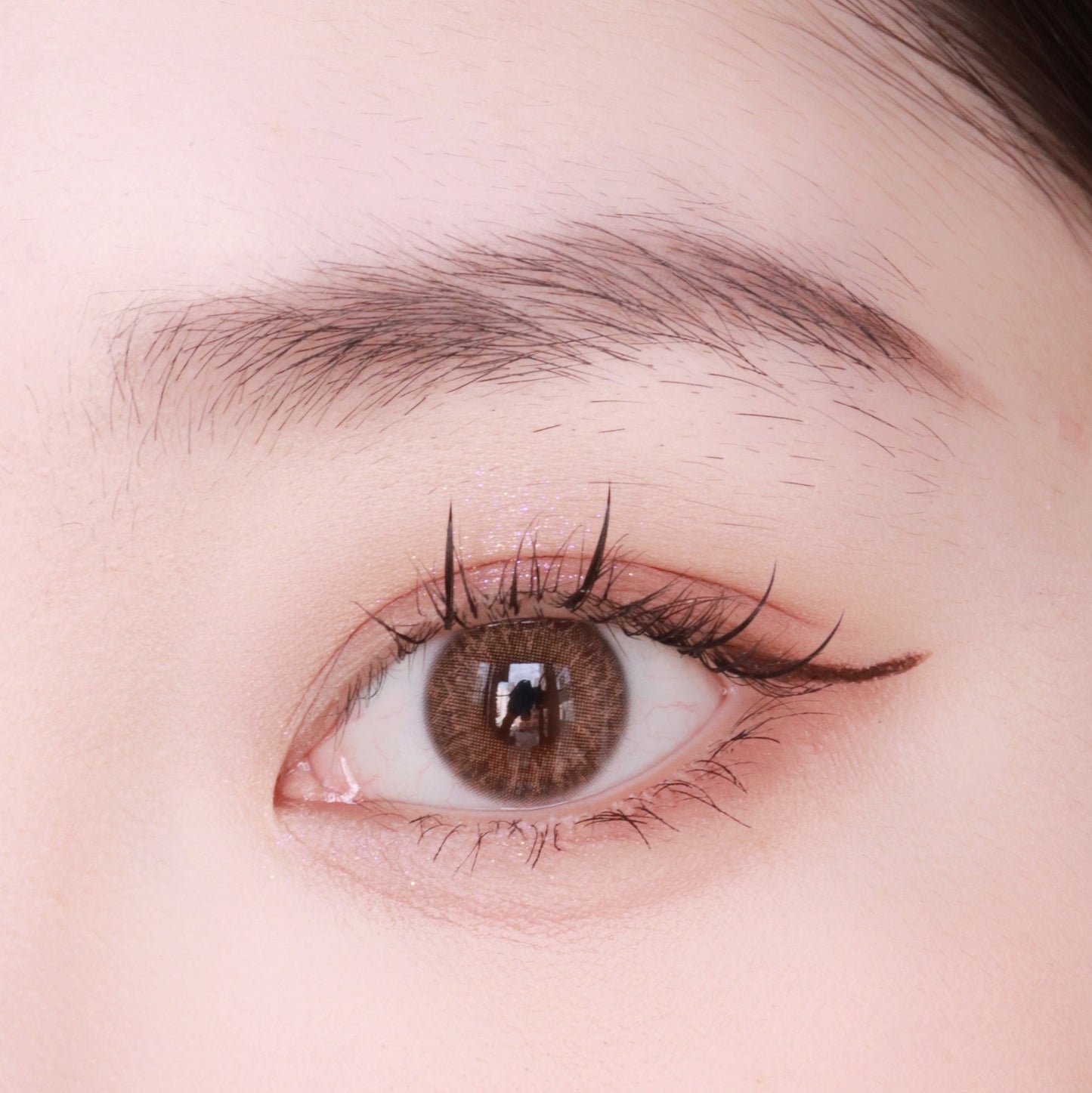 Medios Feelo 賽爾褐 1 Day