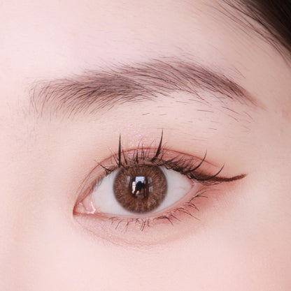 Medios Feelo 賽爾褐 1 Day