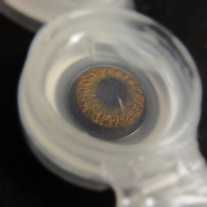 Medios Feelo 賽爾褐 1 Day