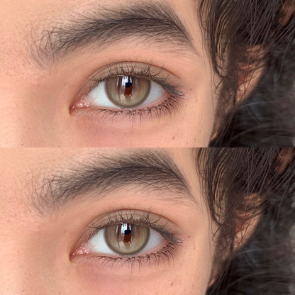 Allecon A19 Brown 貓眼鑽石棕 1 Year 一片裝