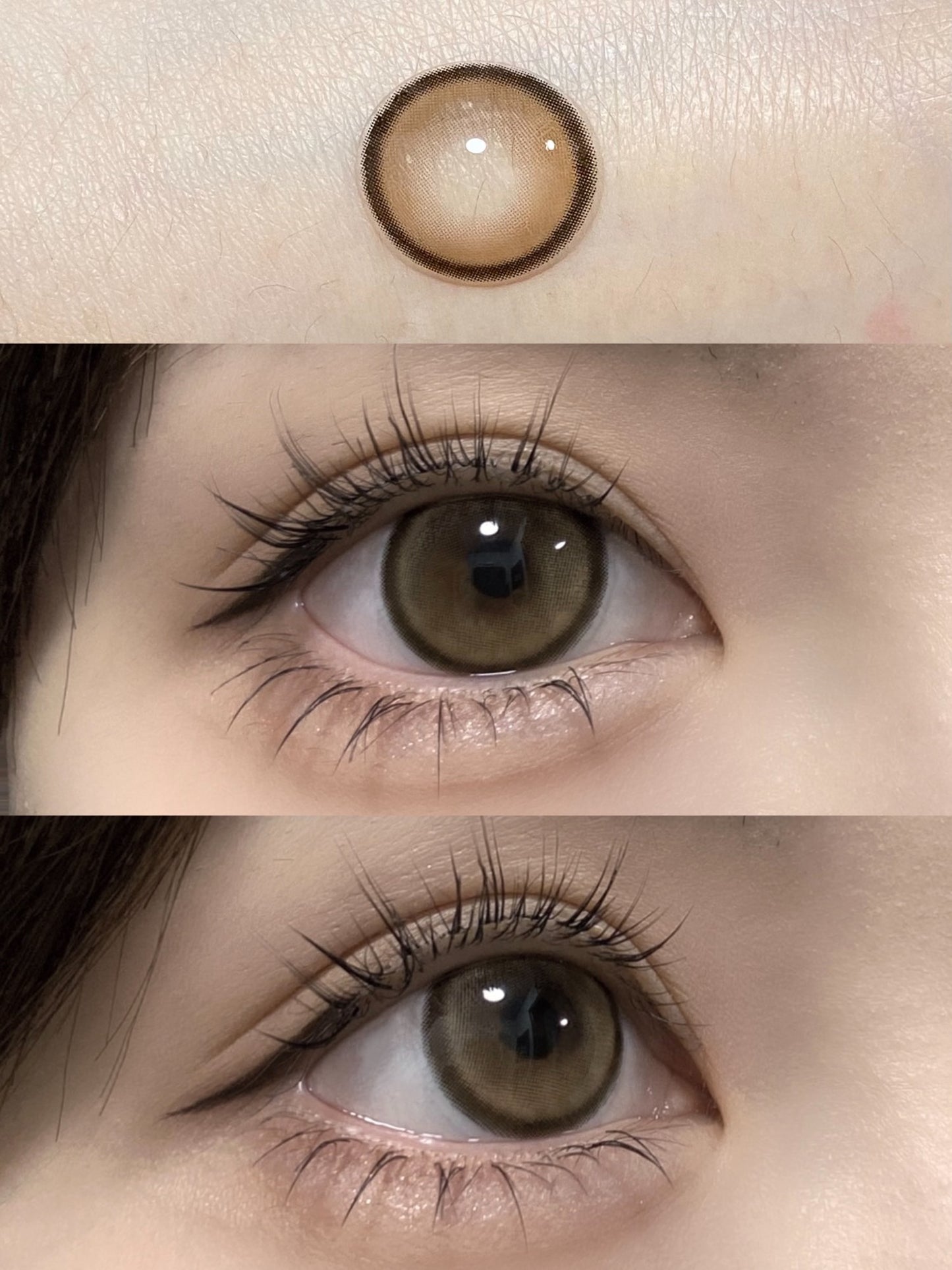 Sondercon S4 Brown 阿寶棕