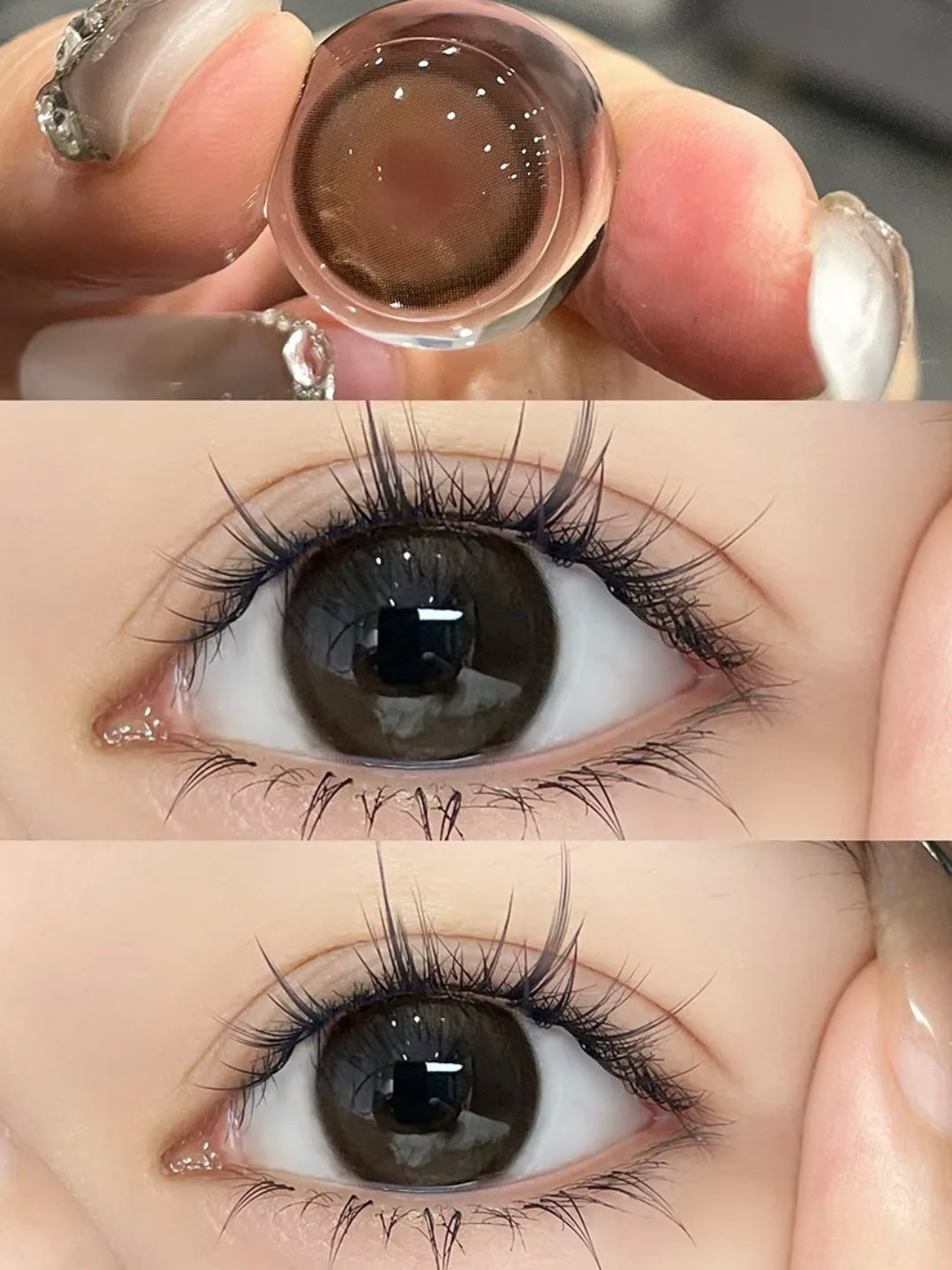 Runaco Pudding Brown 小萌環