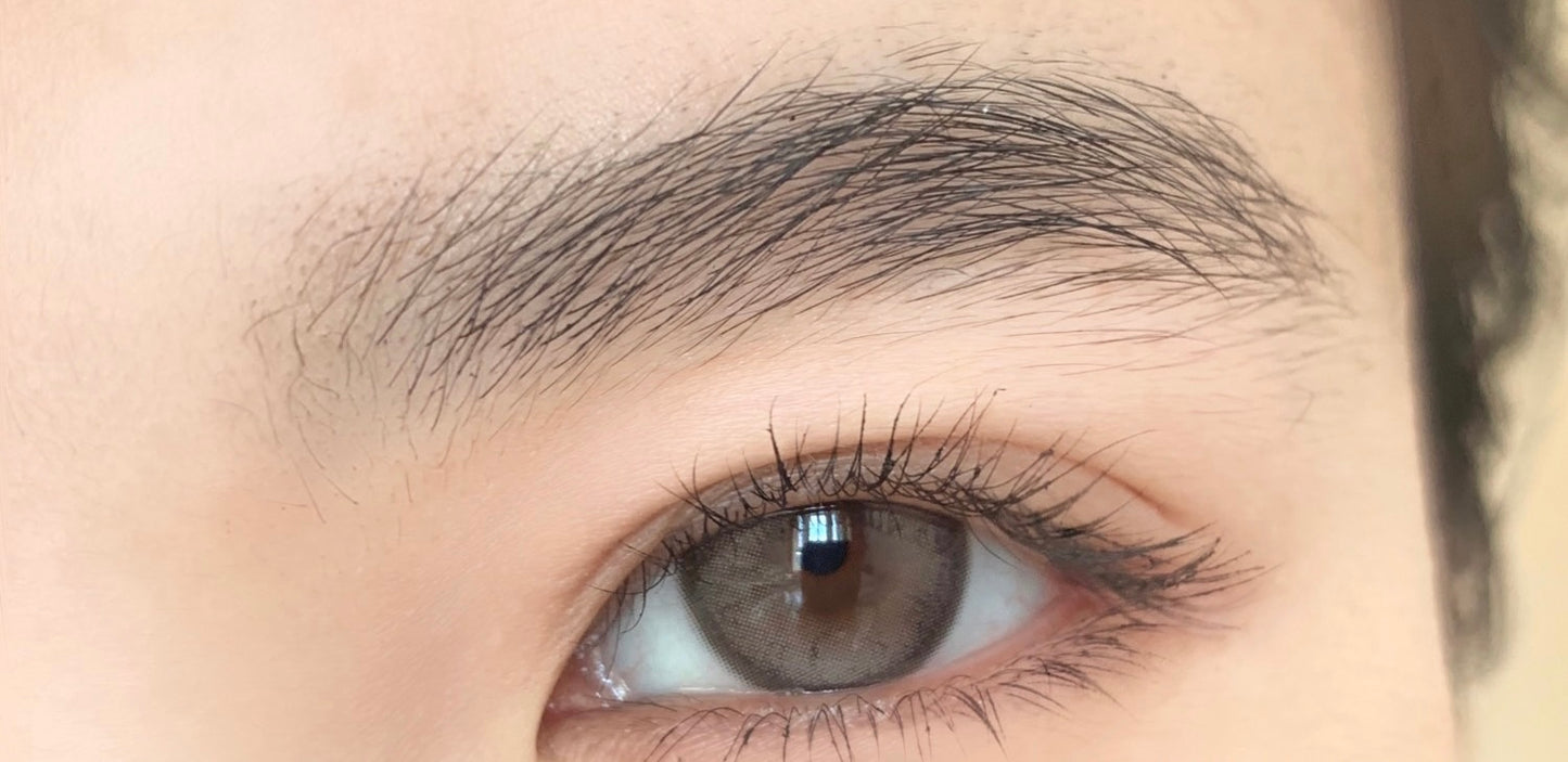 Cococon Firework Gray 東京花樹 1 Day